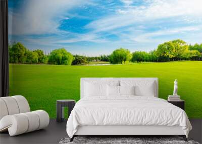 Green grass and forest in spring season. Wall mural