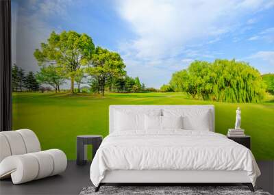 Green grass and forest in spring season. Wall mural