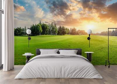 Green grass and forest with beautiful clouds at sunset Wall mural