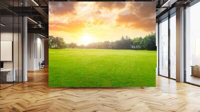 Green grass and forest with beautiful clouds at sunset Wall mural