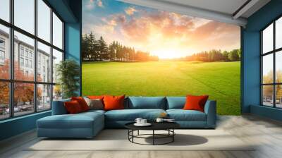 Green grass and forest with beautiful clouds at sunset Wall mural