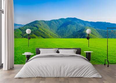 Green grass and mountain in spring season. Wall mural