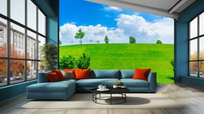 Green grass and tree on a sunny day. Wall mural