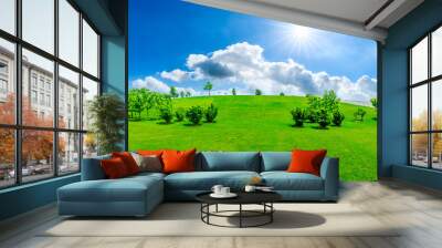 Green grass and tree on a sunny day. Wall mural