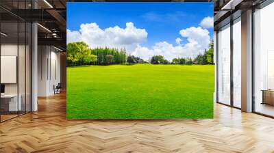 Green grass and trees in spring season. Wall mural