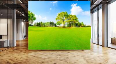 Green grass and trees in spring season. Wall mural