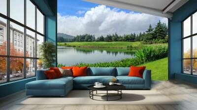 Green grass and woods with lake under blue sky Wall mural