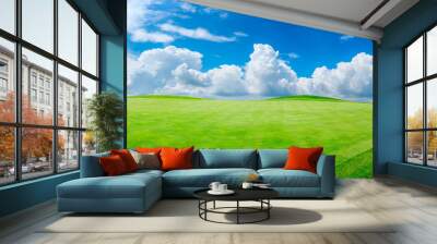 Green grass field and blue sky with white clouds,panoramic view. Wall mural