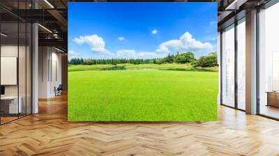 green grass under the blue sky Wall mural