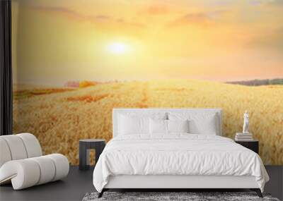 Ripe wheat field landscape at sunset Wall mural