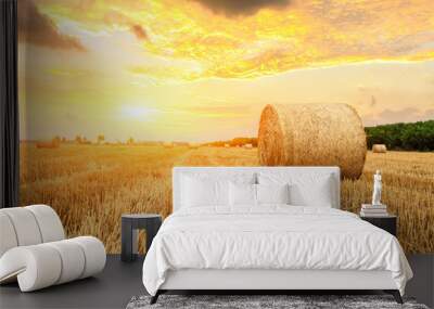 Round straw bales on farmland Wall mural