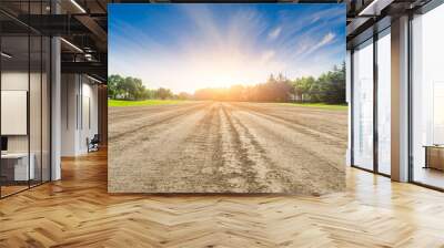 Rural dirt road ground and green forest at sunrise. Wall mural