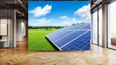 Solar panels and green grass under the blue sky Wall mural