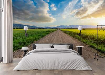 Straight country road and green farmland natural scenery at sunrise in Xinjiang, China. Wall mural