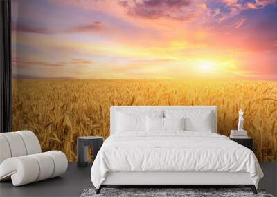 Wheat crop field sunset landscape Wall mural