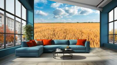 Yellow wheat field and blue sky Wall mural