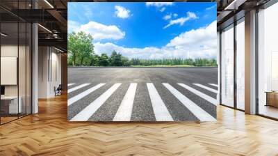 Zebra crossing road ground and green forest landscape in summer Wall mural