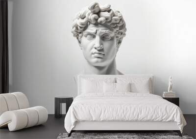 Gypsum statue of David's head. Michelangelo's David statue plaster copy isolated on white background. Wall mural