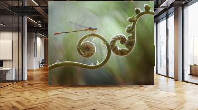 Fern Wall mural