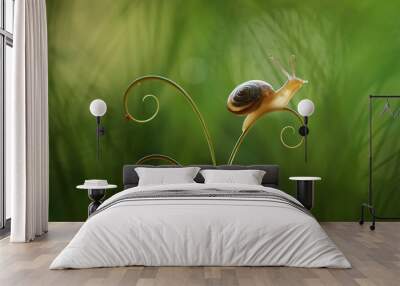 snail on green leaf Wall mural