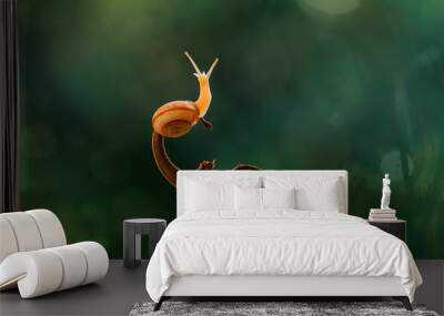 Snail on tree Wall mural