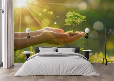 human hand holding a small plant for planting. concept of plant growth and environmental protection. Wall mural