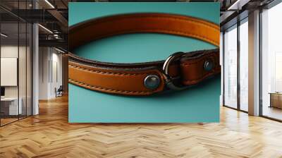 the Dog leather leash on a simple background, showcasing pet accessory details and quality. Wall mural