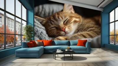 the Sleeping cat in a cozy and relaxed pose, emphasizing comfort and tranquility. Wall mural