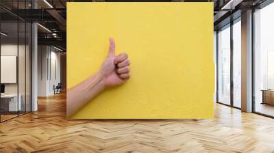 Hand with good sign isolated on yellow wall background  Wall mural