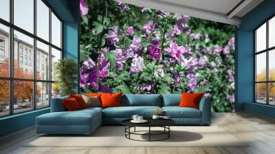 Close up view of  a magenta and purple bouquet of flowers Wall mural