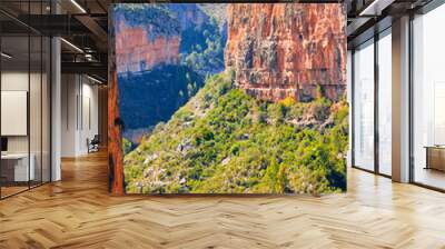 grand canyon s Wall mural