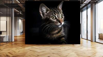 portrait of a tabby cat on a black background Wall mural