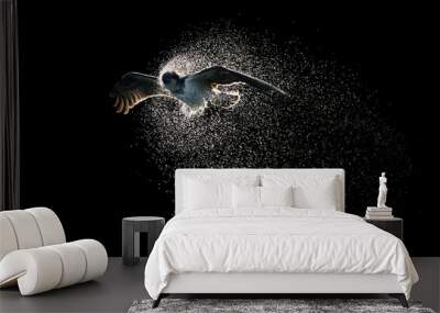 Osprey Spray III Wall mural