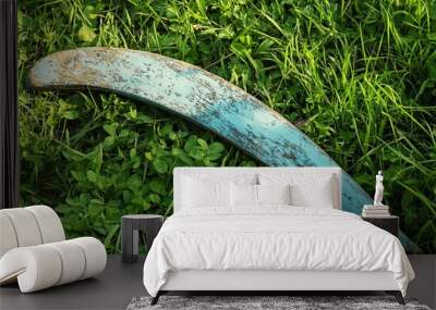 Turquoise Wooden Boomerang in Green Grass Outdoors Space Wall mural