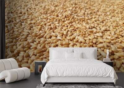 Seed  Wall mural