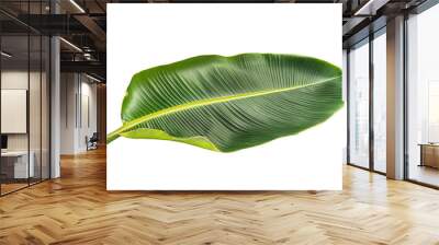 A large banana leave on transparent background, png	 Wall mural