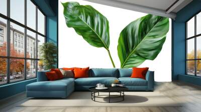 Beautiful green leaves of tropical plants  on transparent background, png	 Wall mural