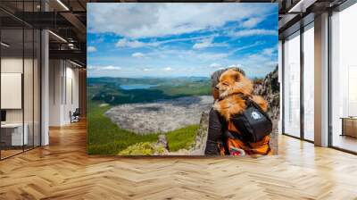 Girl hiking with dog in backpack Wall mural