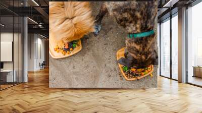 Two dogs eating a meal Wall mural