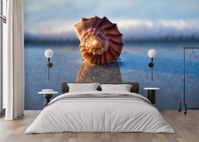 Shell  Wall mural