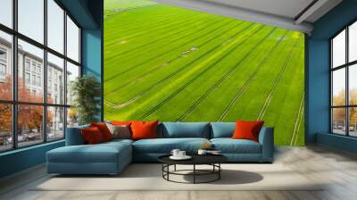 Aerial view over green lush agricultural crop fields Wall mural