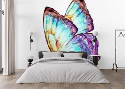 butterfly,watercolor, isolated on a white Wall mural