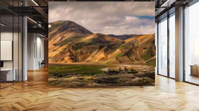 Beautiful landscape view of landmannalaugar mountain Wall mural