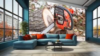 Gasoline powered chainsaw with tools and chopped trees Wall mural