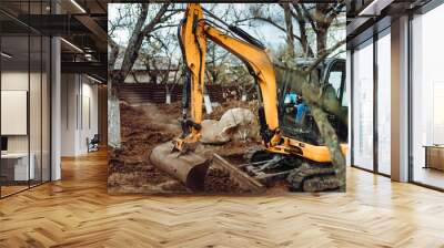 heavy duty industrial excavator moving earth in the garden during landscaping works. Wall mural