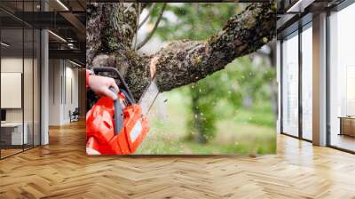 man cutting trees using an electrical professional chainsaw Wall mural