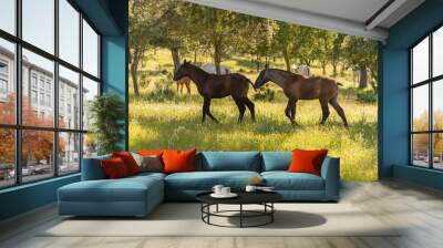 horse Wall mural