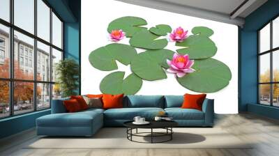 3d illustration of a water lily Wall mural