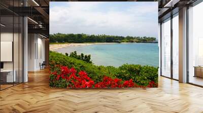 Hapuna Beach State Park, Hawaii Wall mural