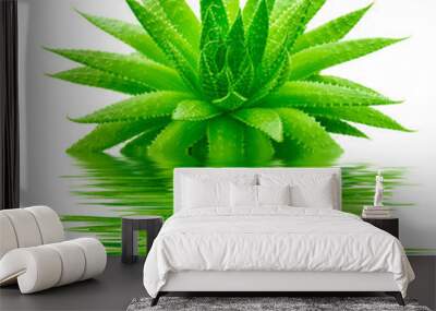 Aloe Wall mural